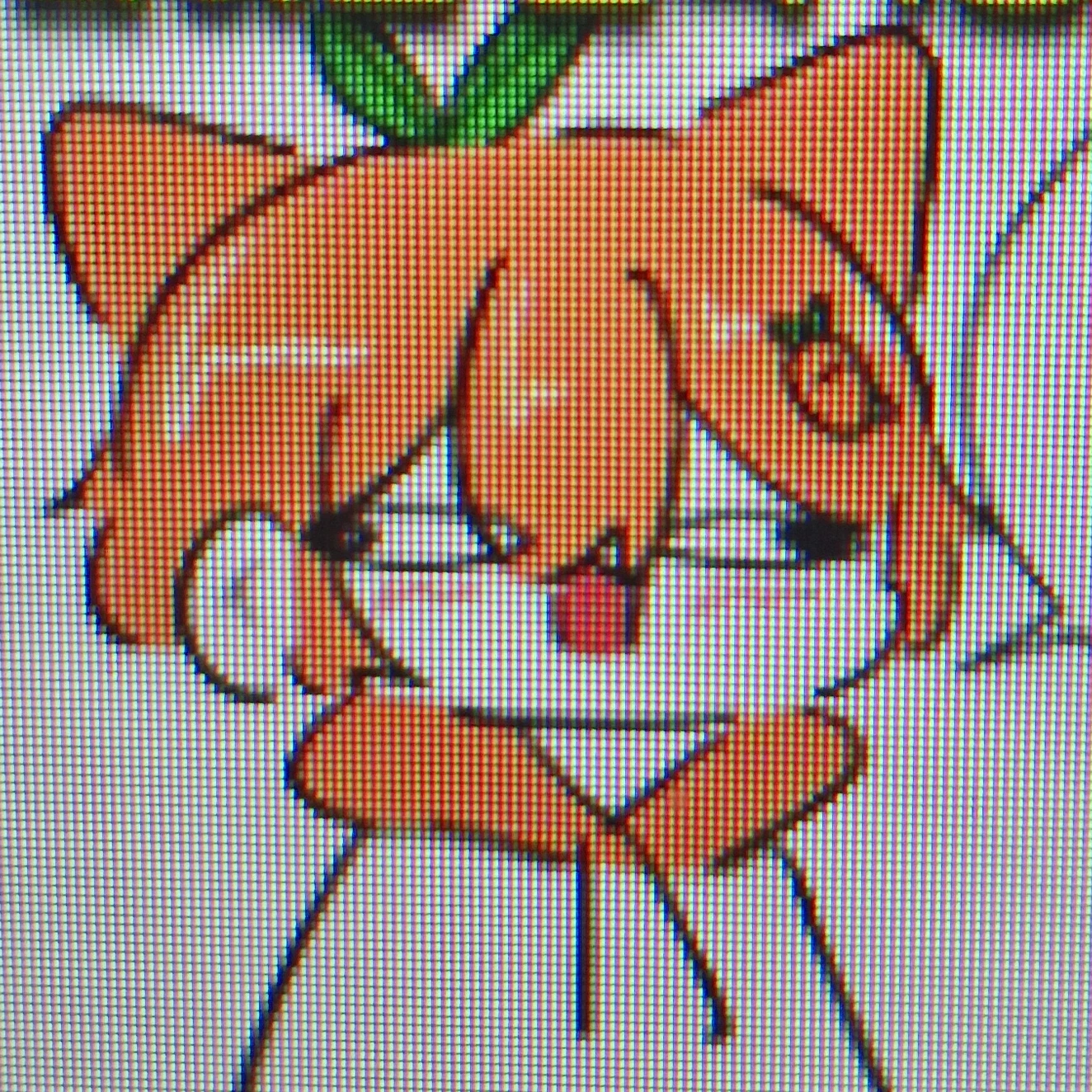 귤냥