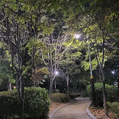 Profile image of 오미주