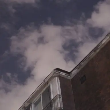 Profile image of 기선겸