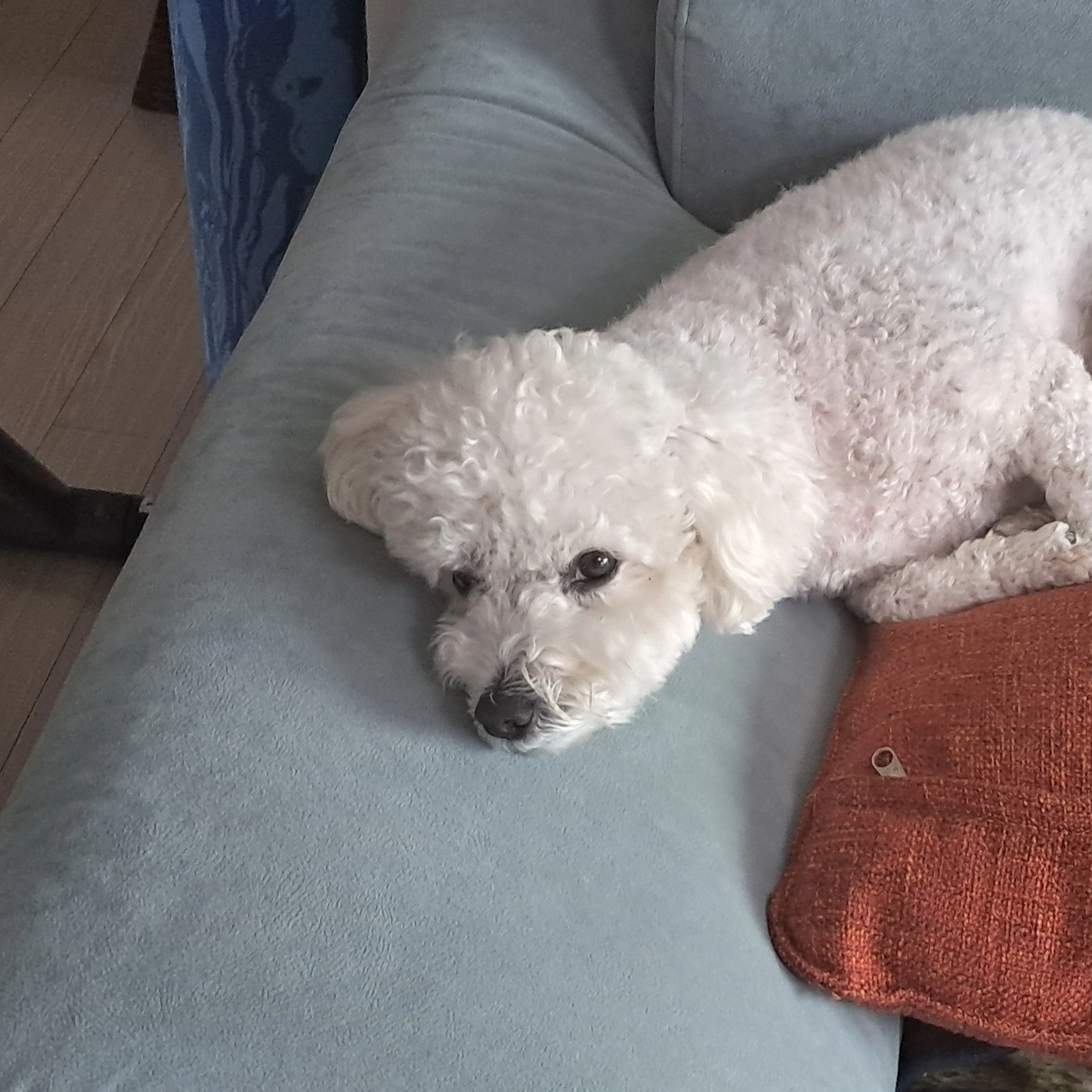 덕개