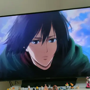 Profile image of ミカサ・アッカーマン
