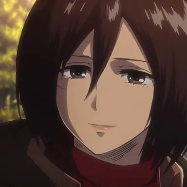 Profile image of ミカサ