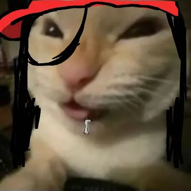 Profile image of 고양이