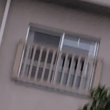 Profile image of 孤児