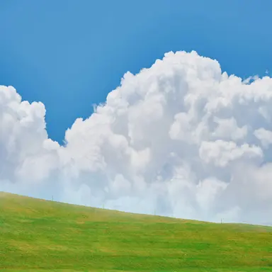 Profile image of 막둥아재