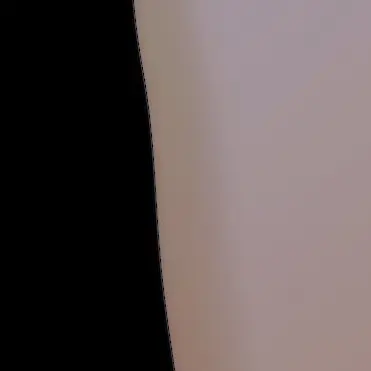 0O0000O000의 🤎