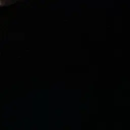 Profile image of ゴンホ