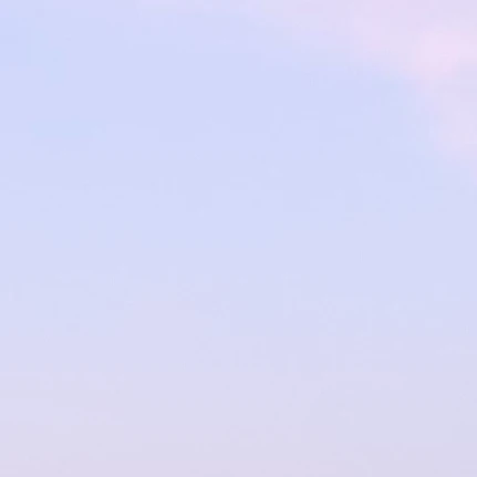 잭