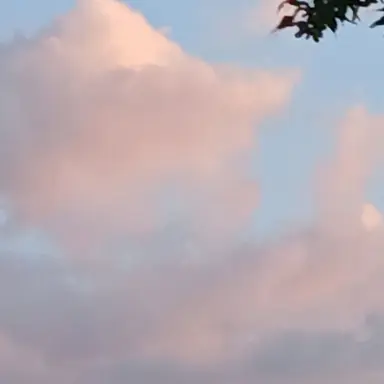 Profile image of 진개성