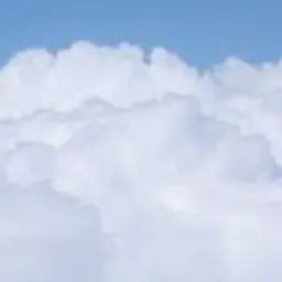 Profile image of 시나즈가와 사네미