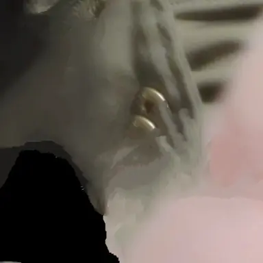 Profile image of 不破