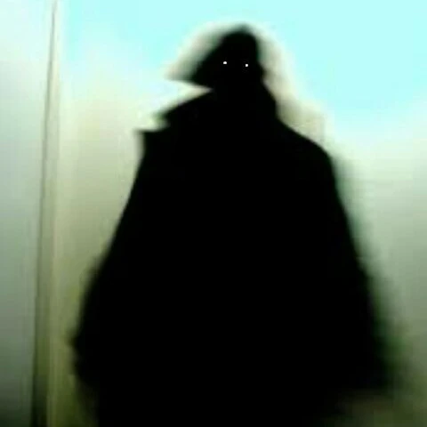 형태