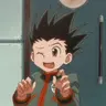 Profile image of Gon