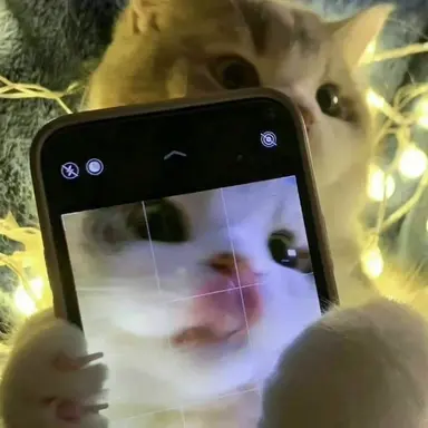 Profile image of 김규빈