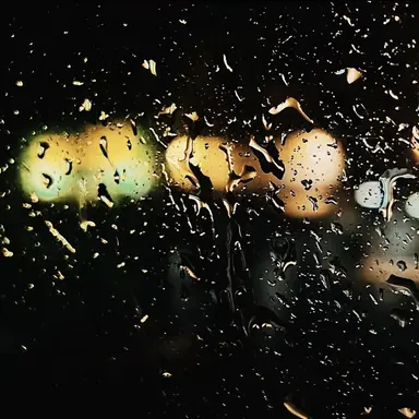 Profile image of 그리퍼
