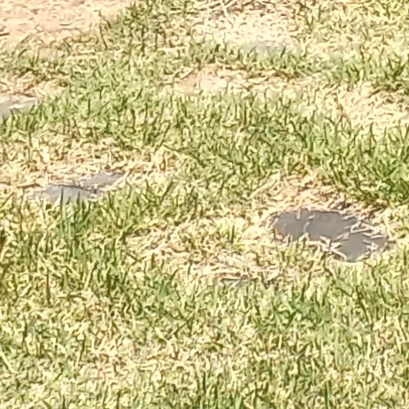 Joan_home의 뜰팁 학교(선생편)