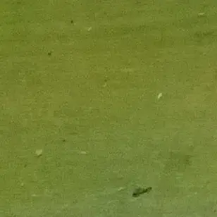 Profile image of 정공룡