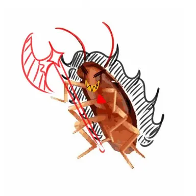 Profile image of 버닝스파이스