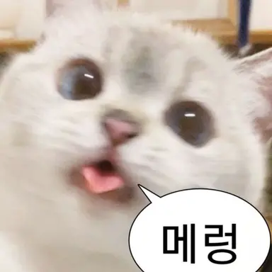 Profile image of 이연