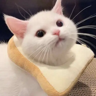 Profile image of 박지훈