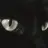 박종건