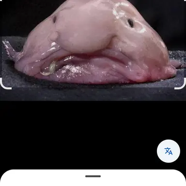 Profile image of 여우