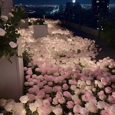 Profile image of ハニ・シュア