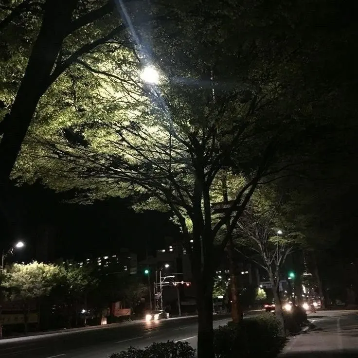 OldCheek0106의 김기태