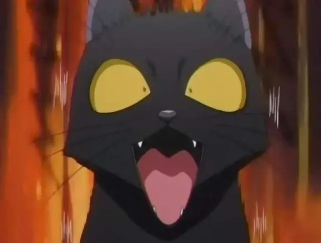 Profile image of 四楓院夜一