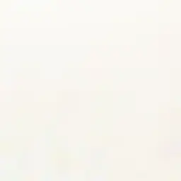 Tempo323의 이동혁