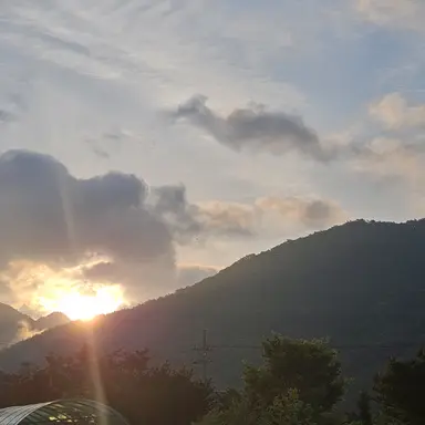 Profile image of 료미