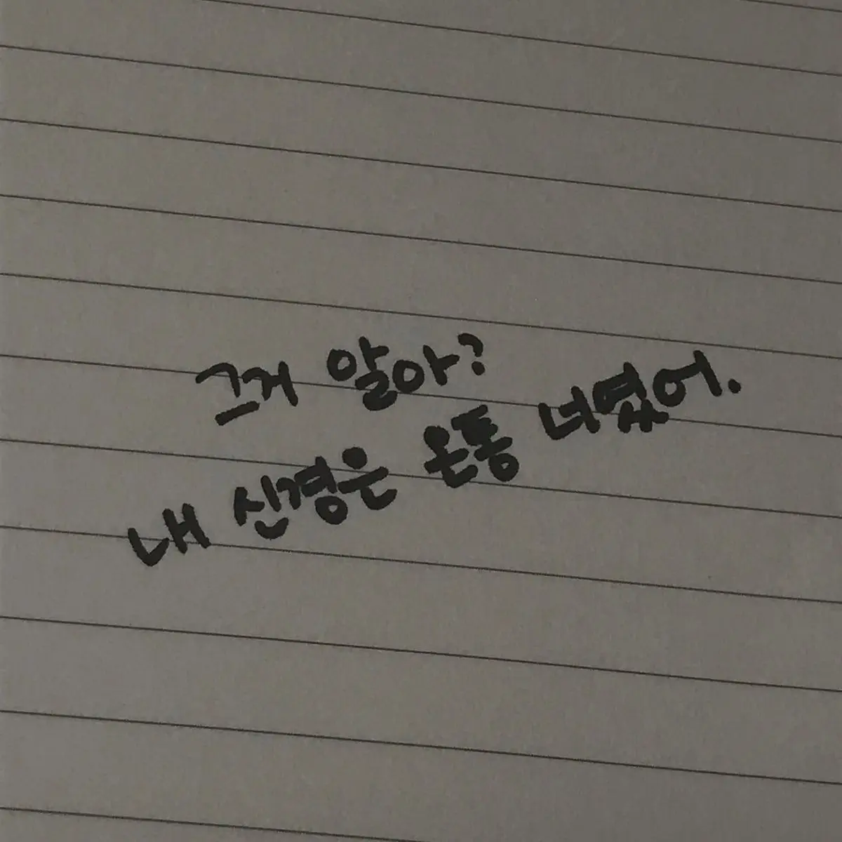 kkyoong의 백현