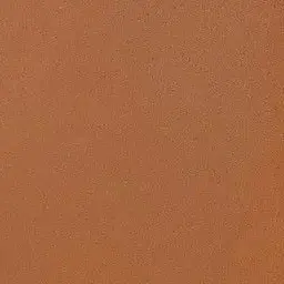 Profile image of 吉田仁人