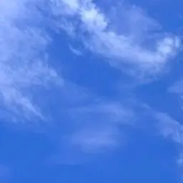 Profile image of 塩﨑大智