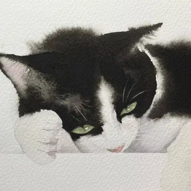 Profile image of あんこ