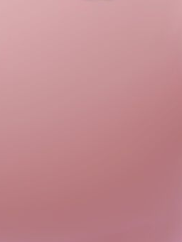 스텔라이브 길드 대표 이미지