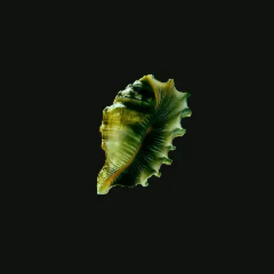 Profile image of カンジ