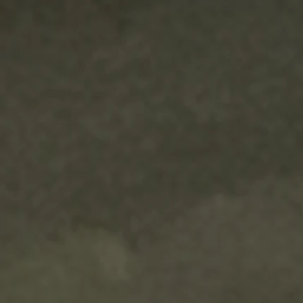이태향
