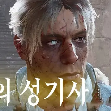 jhforest의 빛의 성기사
