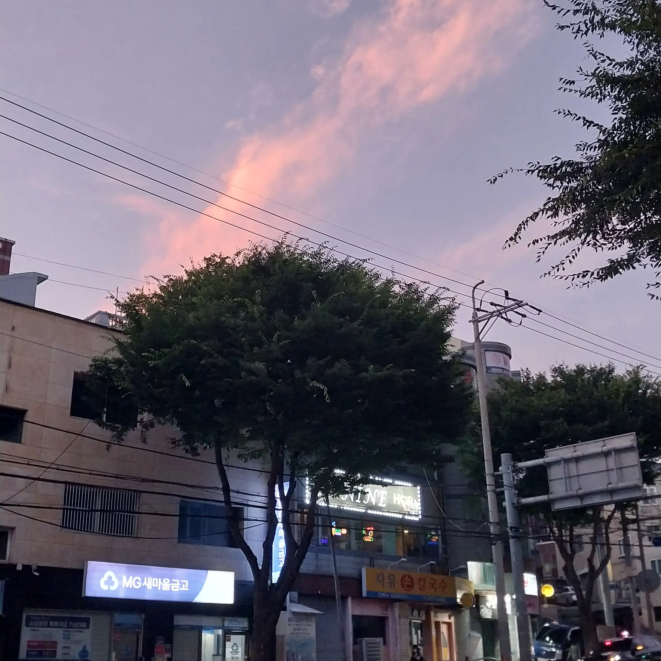 DimBark8393의 최슈빙