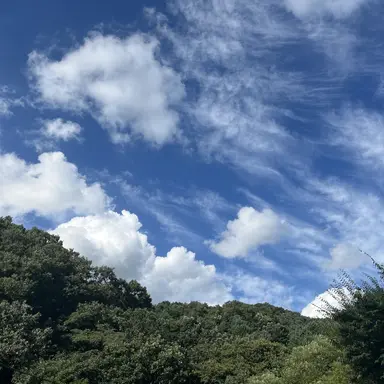 Profile image of 건수년