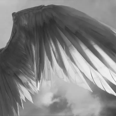 Profile image of 시프