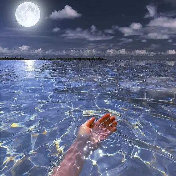 BL._.의 케데헌 중학교 (여우)