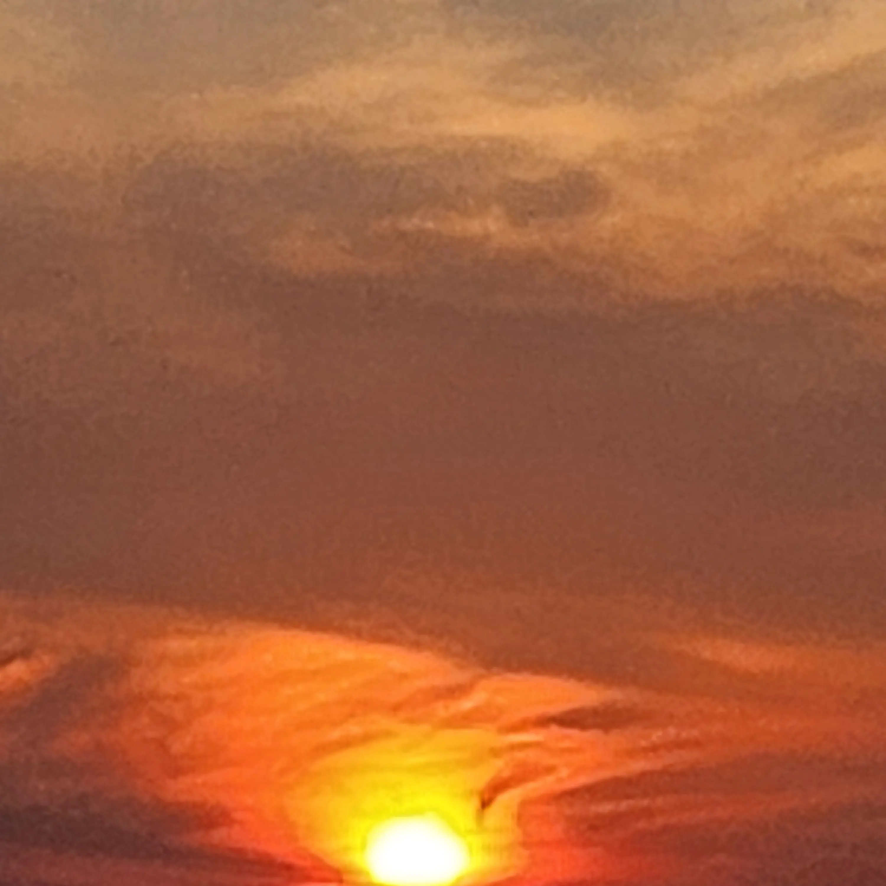 A_SALAM_NONLAN의 배신범