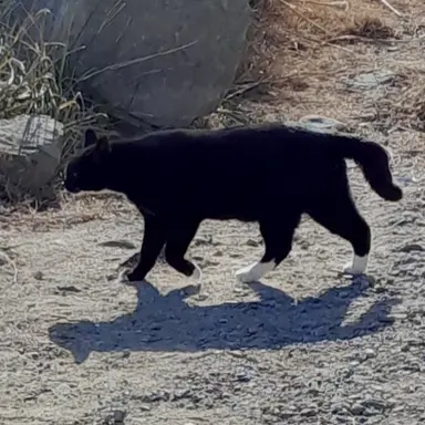 Profile image of 하현