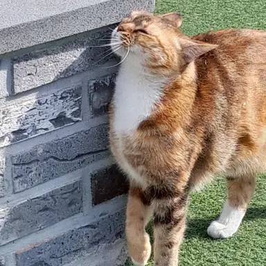 Profile image of 상현