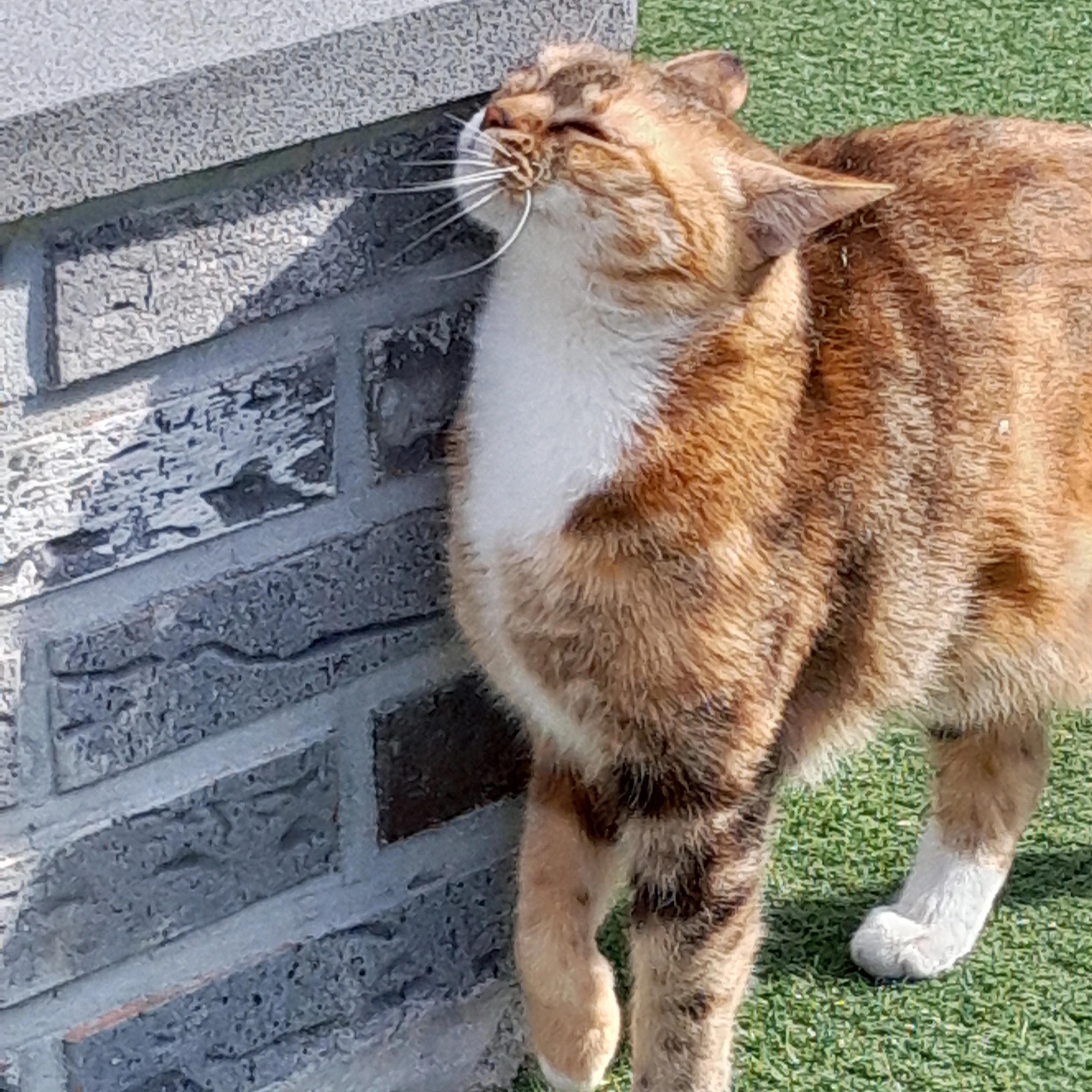 상현