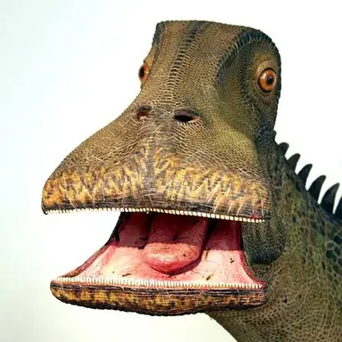 Profile image of 김아현