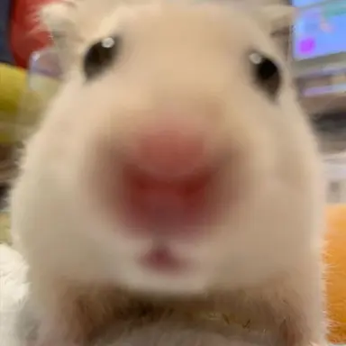 Profile image of 전지민