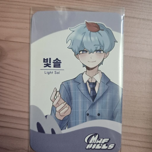 빛솔